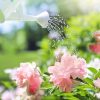 ¿Está seguro de que la planta necesita agua?  5 señales de plantas de riego excesivo
